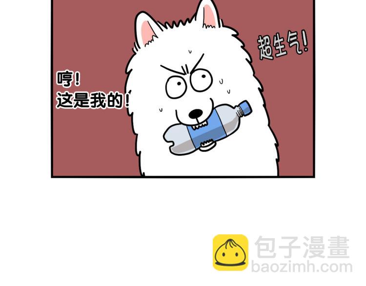 第17话 酷爱捡东西(1/2)-第18话