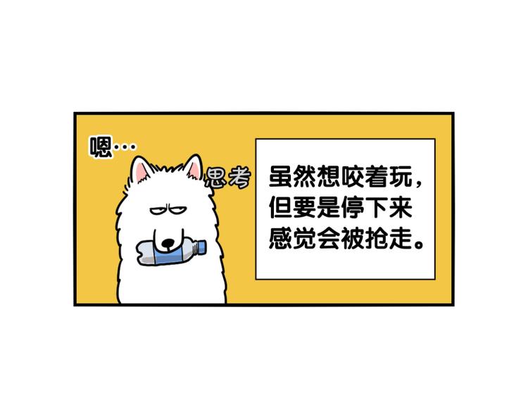 第17话 酷爱捡东西(1/2)-第18话