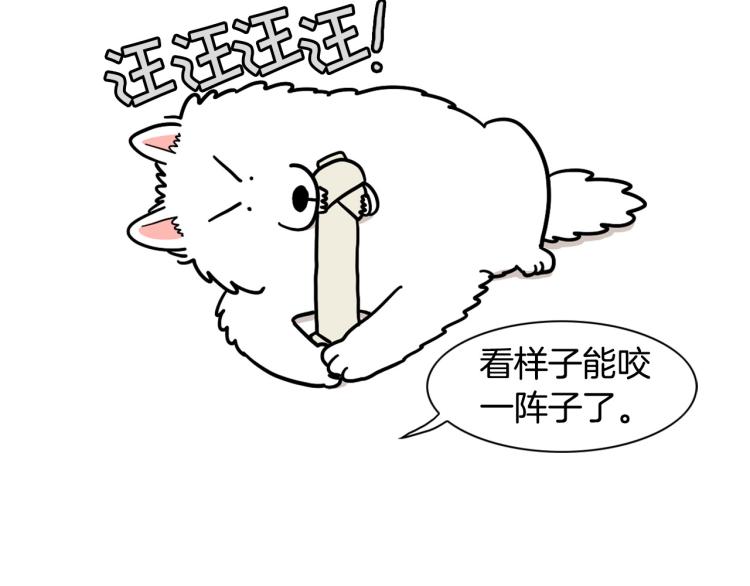 第19话 藏磨牙棒(1/2)-第20话