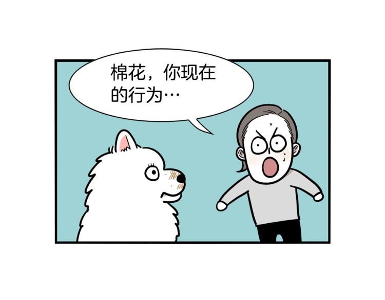 第19话 藏磨牙棒(1/2)-第20话