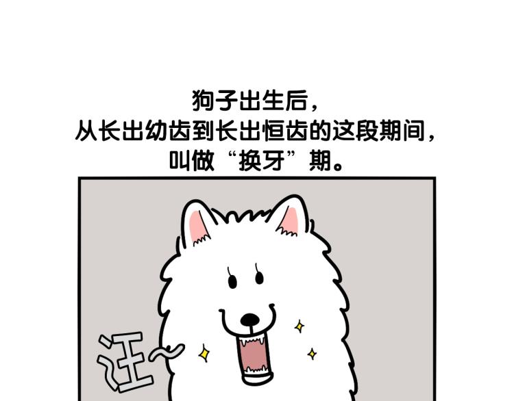 第21话 可怕的换牙期(1/2)-第22话