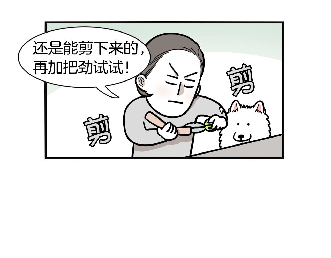 第23话 一双巧手走天下！(1/2)-第24话