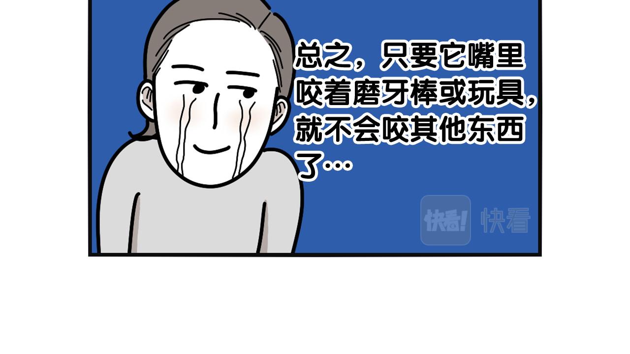 第23话 一双巧手走天下！(1/2)-第24话