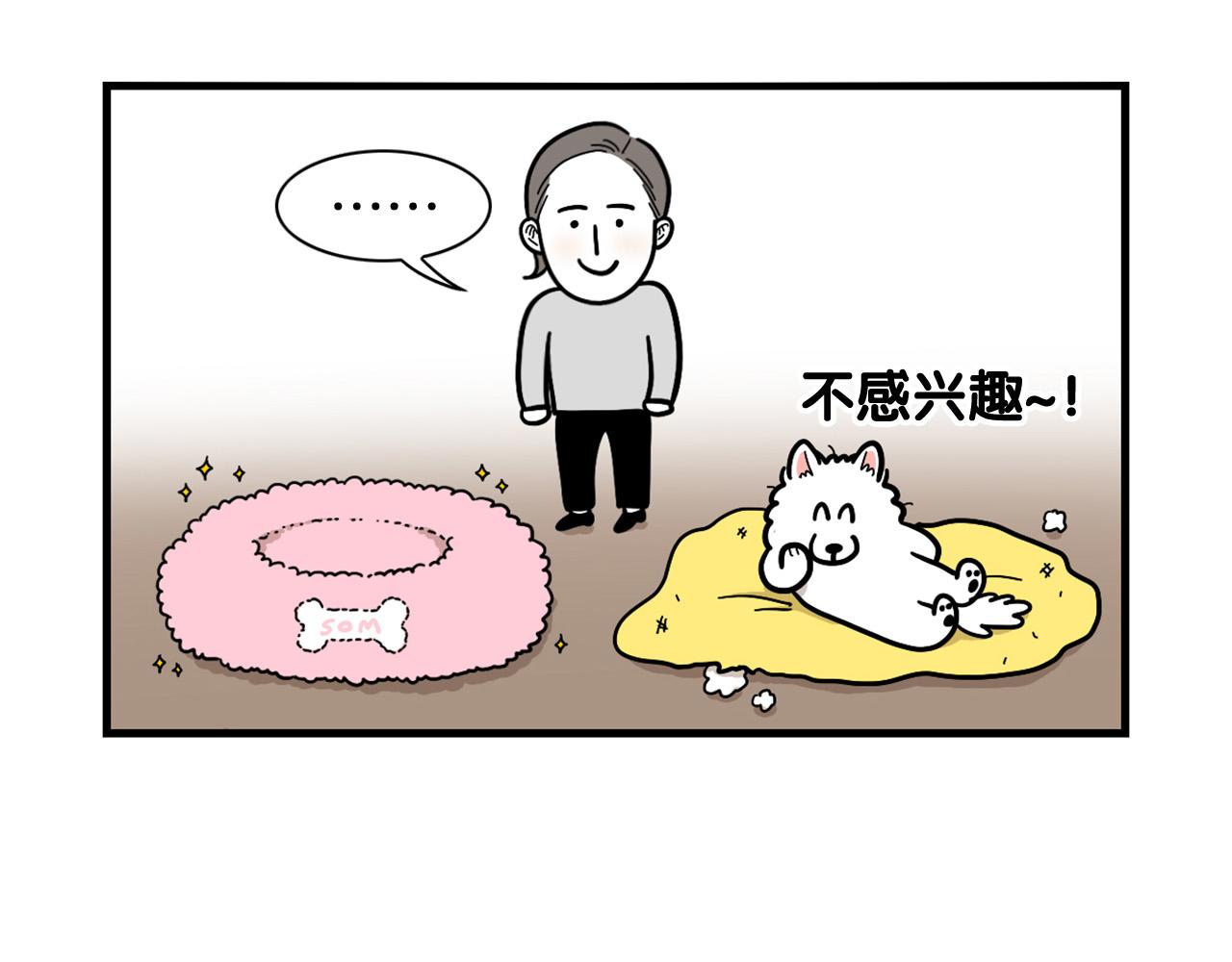 第27话 猫犬不宁？(1/2)-第28话