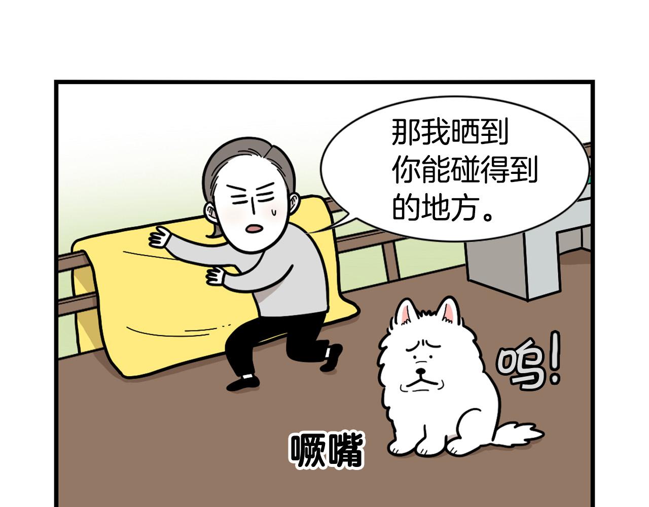 第27话 猫犬不宁？(1/2)-第28话