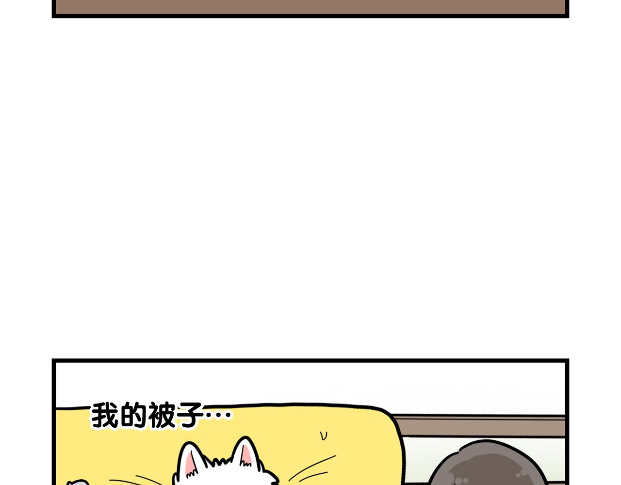 第27话 猫犬不宁？(1/2)-第28话