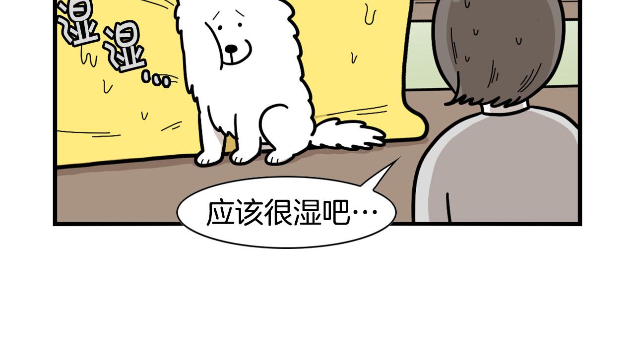 第27话 猫犬不宁？(1/2)-第28话