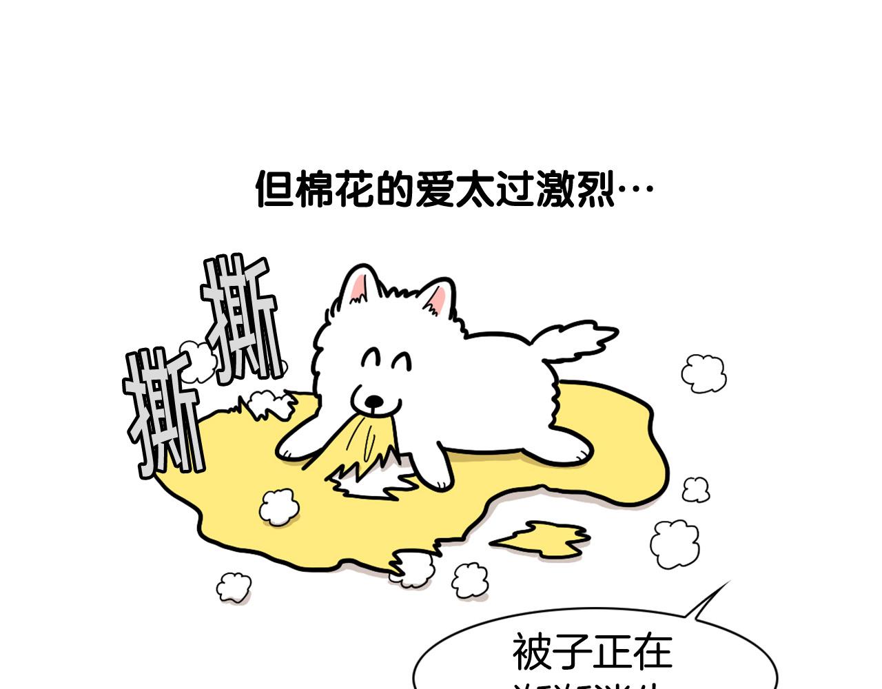 第27话 猫犬不宁？(1/2)-第28话