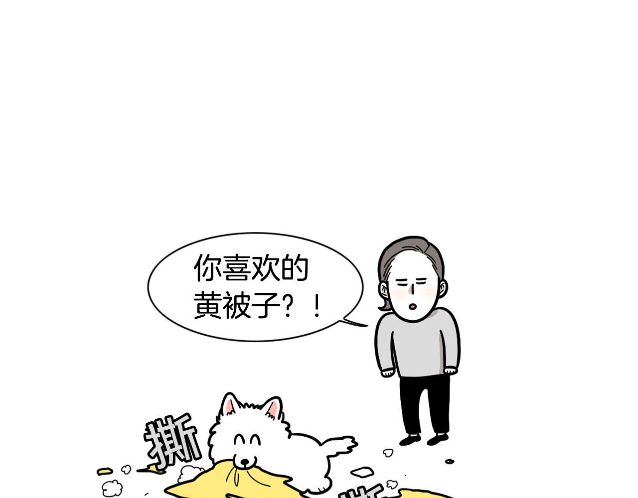 第27话 猫犬不宁？(1/2)-第28话