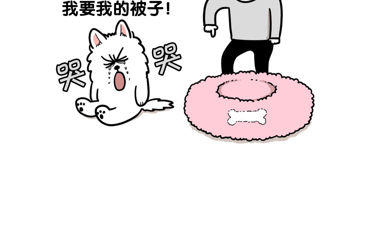 第27话 猫犬不宁？(1/2)-第28话