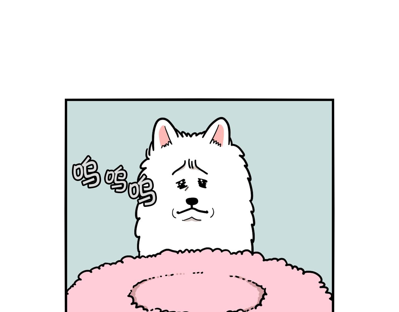 第27话 猫犬不宁？(1/2)-第28话