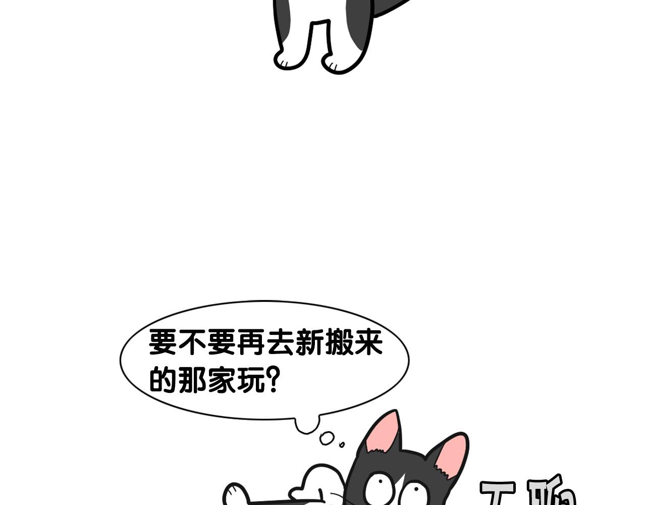 第27话 猫犬不宁？(1/2)-第28话