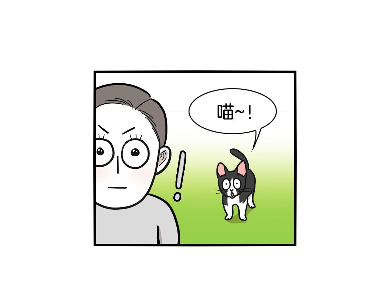 第27话 猫犬不宁？(1/2)-第28话