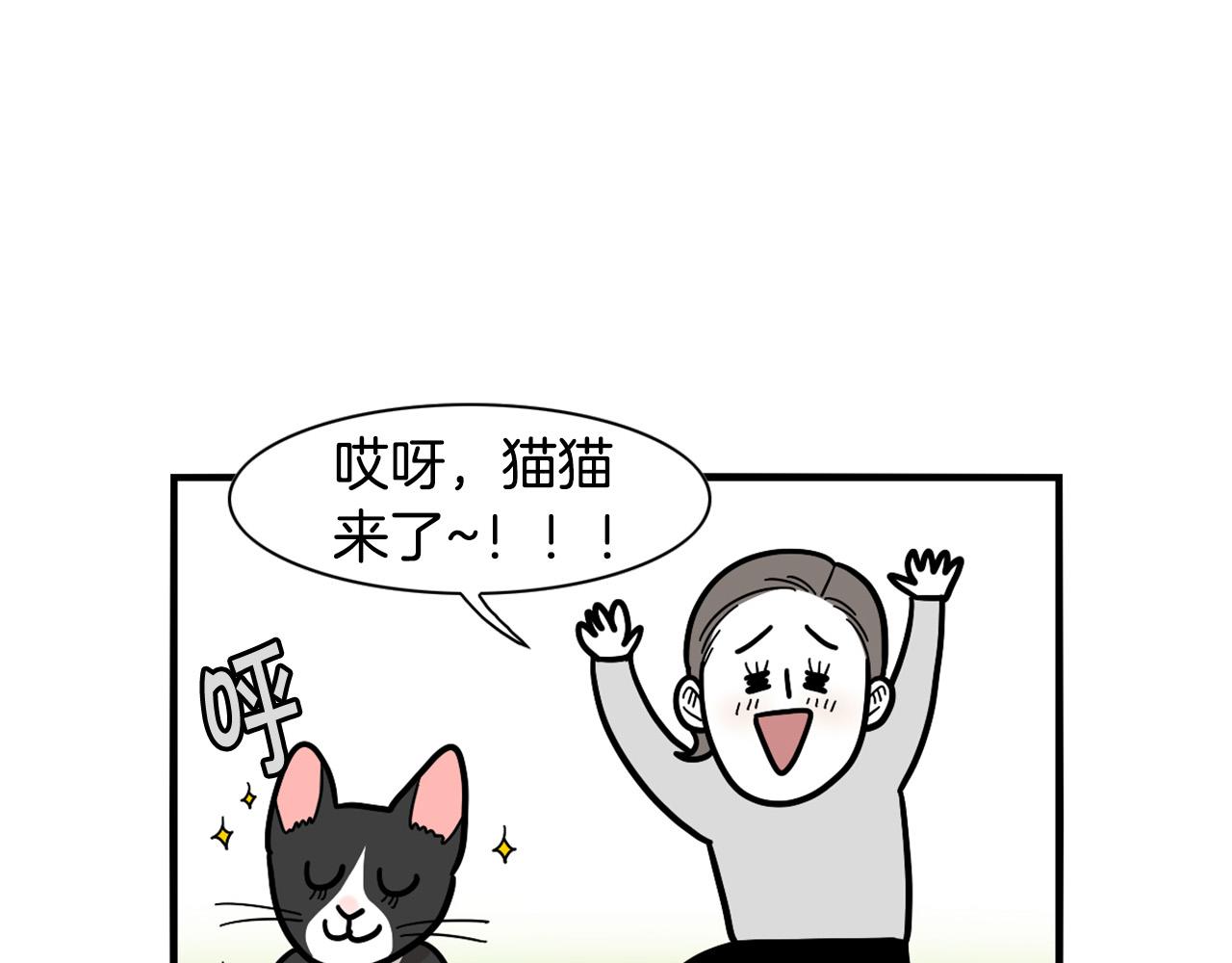 第27话 猫犬不宁？(1/2)-第28话