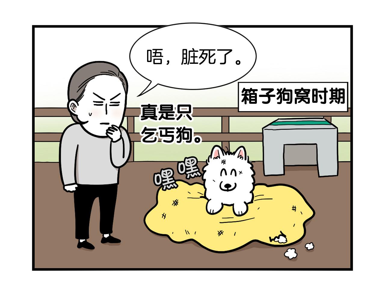 第27话 猫犬不宁？(1/2)-第28话