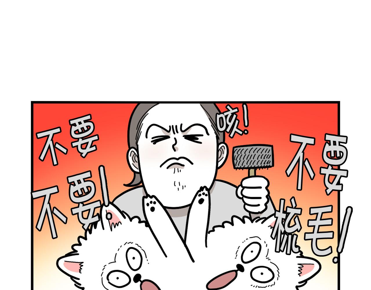 第29话 猴子期的狗很丑？(1/2)-第30话
