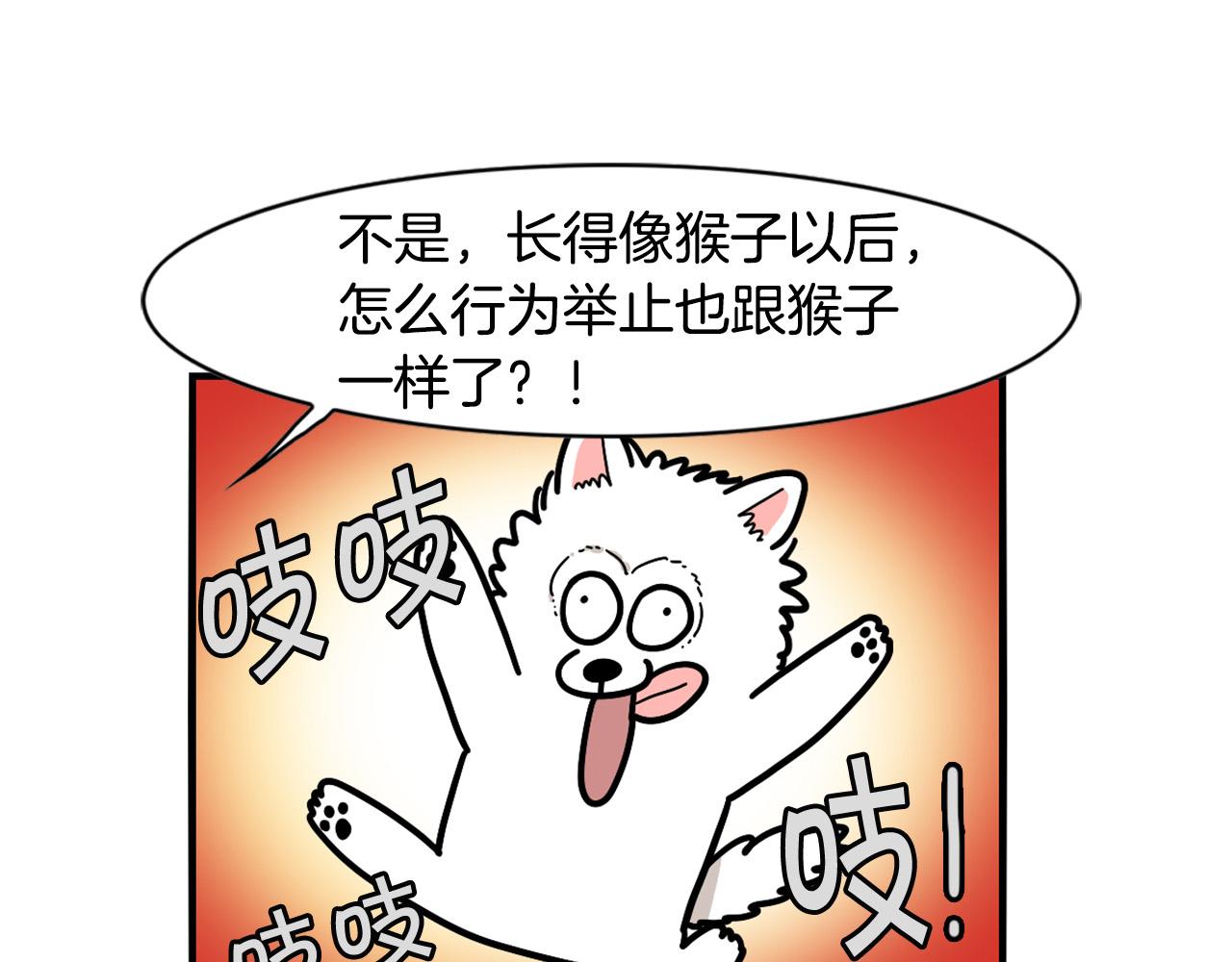 第29话 猴子期的狗很丑？(1/2)-第30话