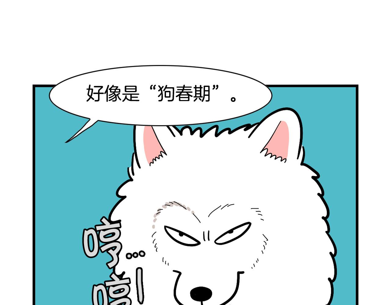 第29话 猴子期的狗很丑？(1/2)-第30话