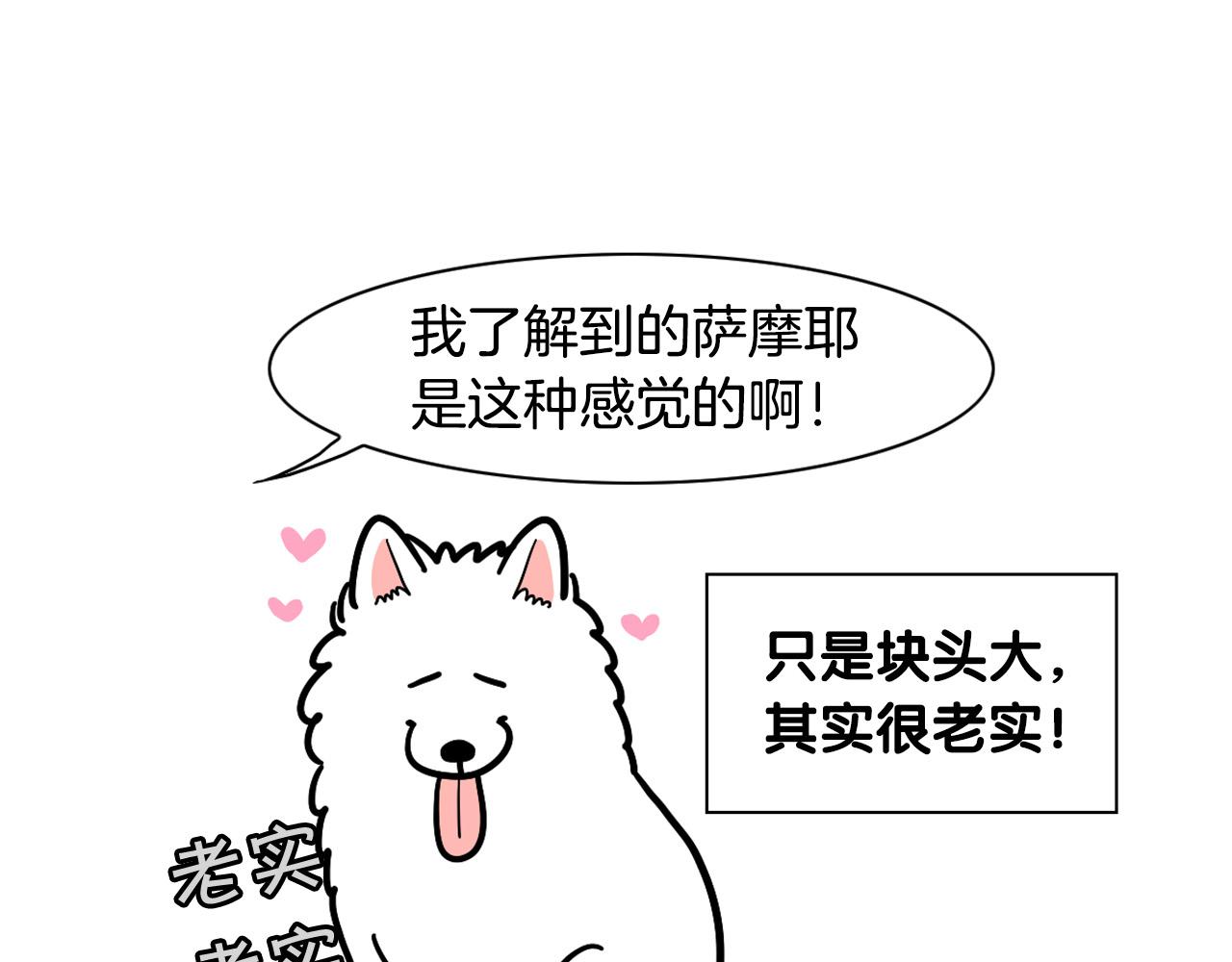第29话 猴子期的狗很丑？(1/2)-第30话