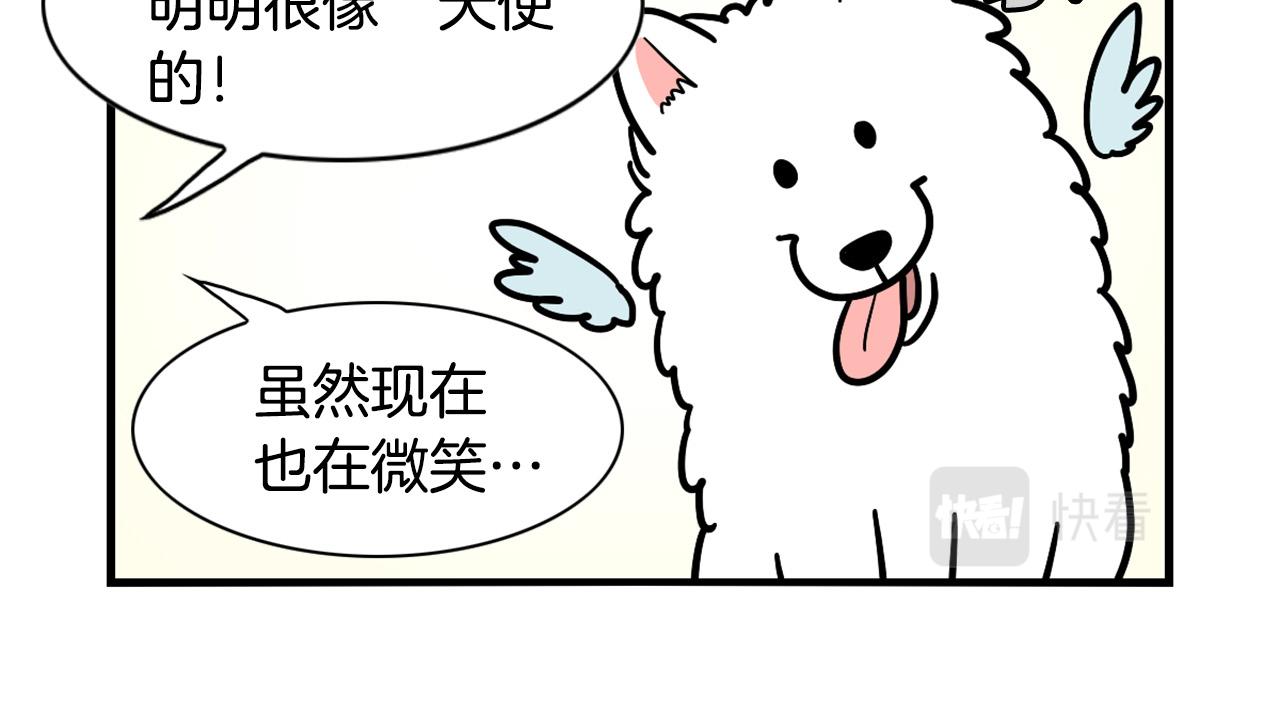 第29话 猴子期的狗很丑？(1/2)-第30话
