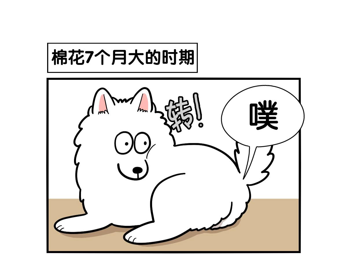 第37话 放屁狗狗(1/2)-第38话