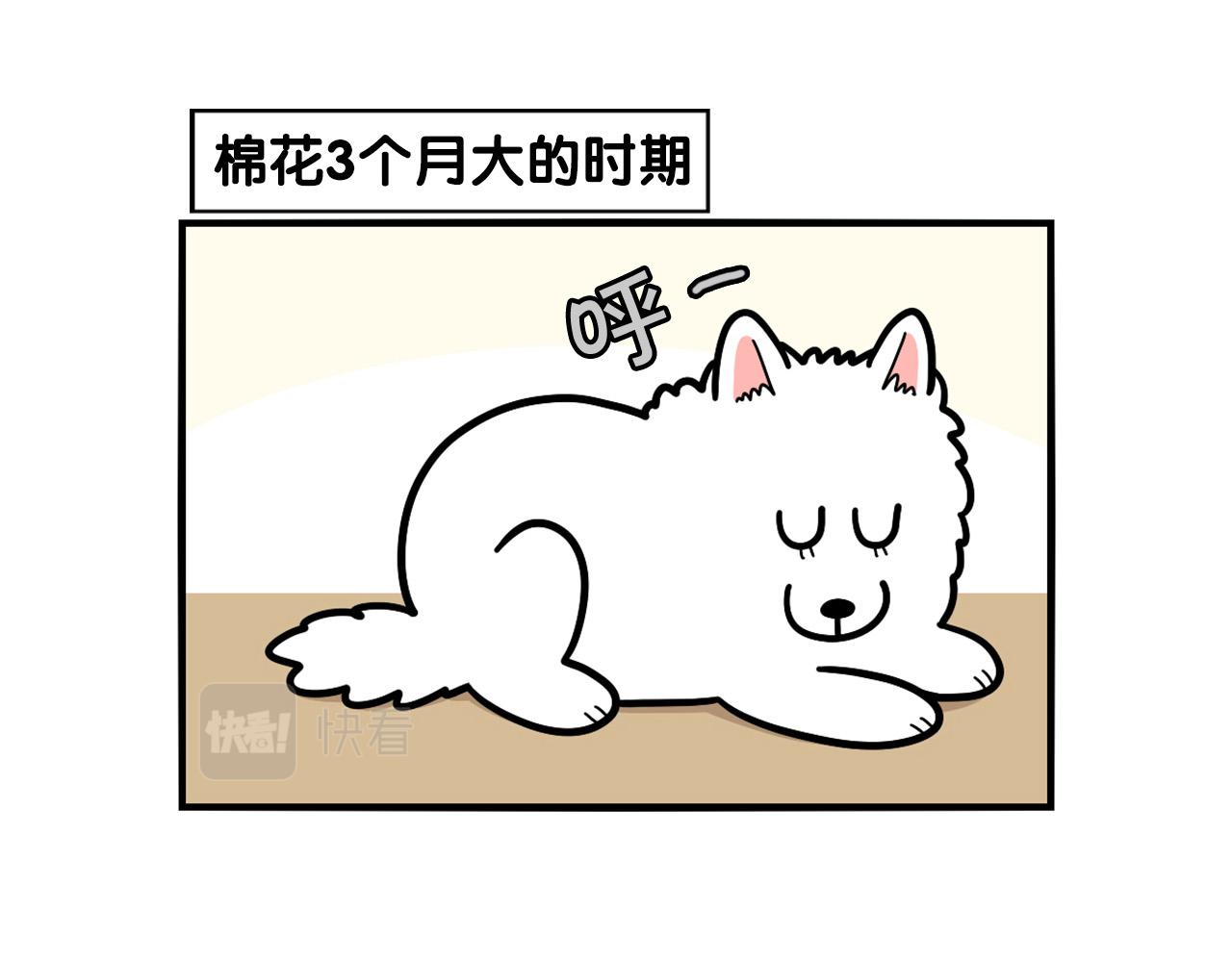 第37话 放屁狗狗(1/2)-第38话
