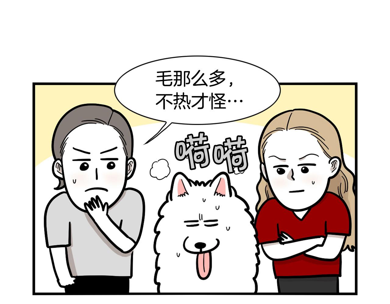 第39话 剃毛方案(1/2)-第40话