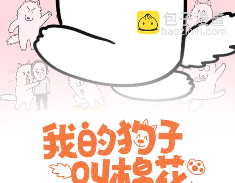第5话 乱吃东西的狗子(1/3)-第6话