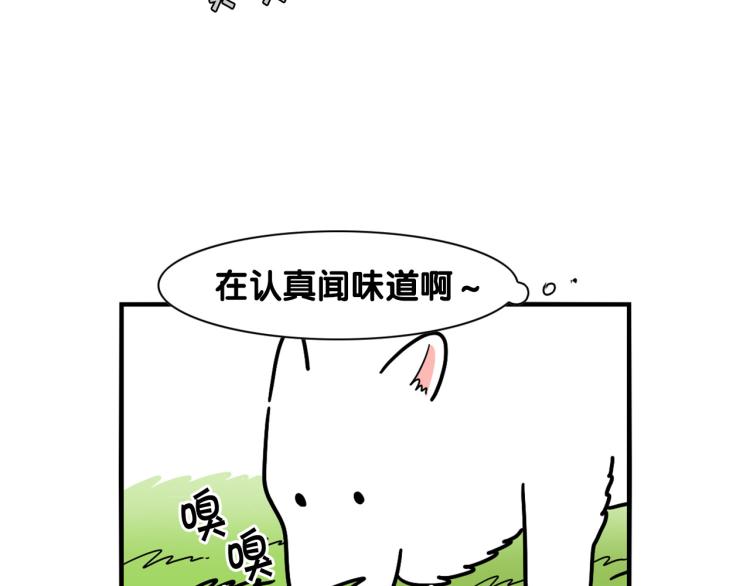 第5话 乱吃东西的狗子(1/3)-第6话