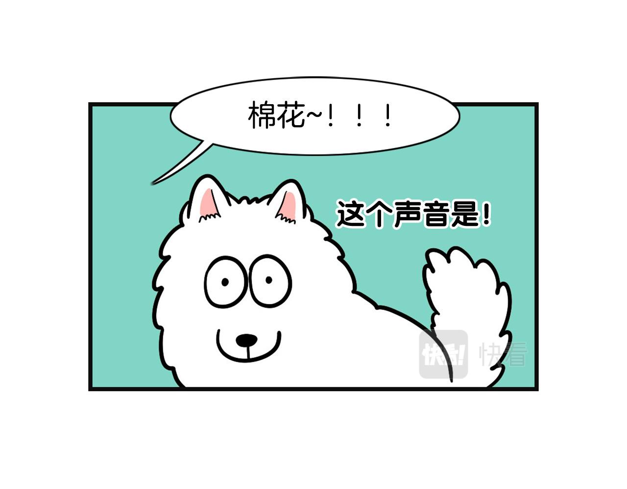 第53话 狗狗训练所(1/2)-第54话