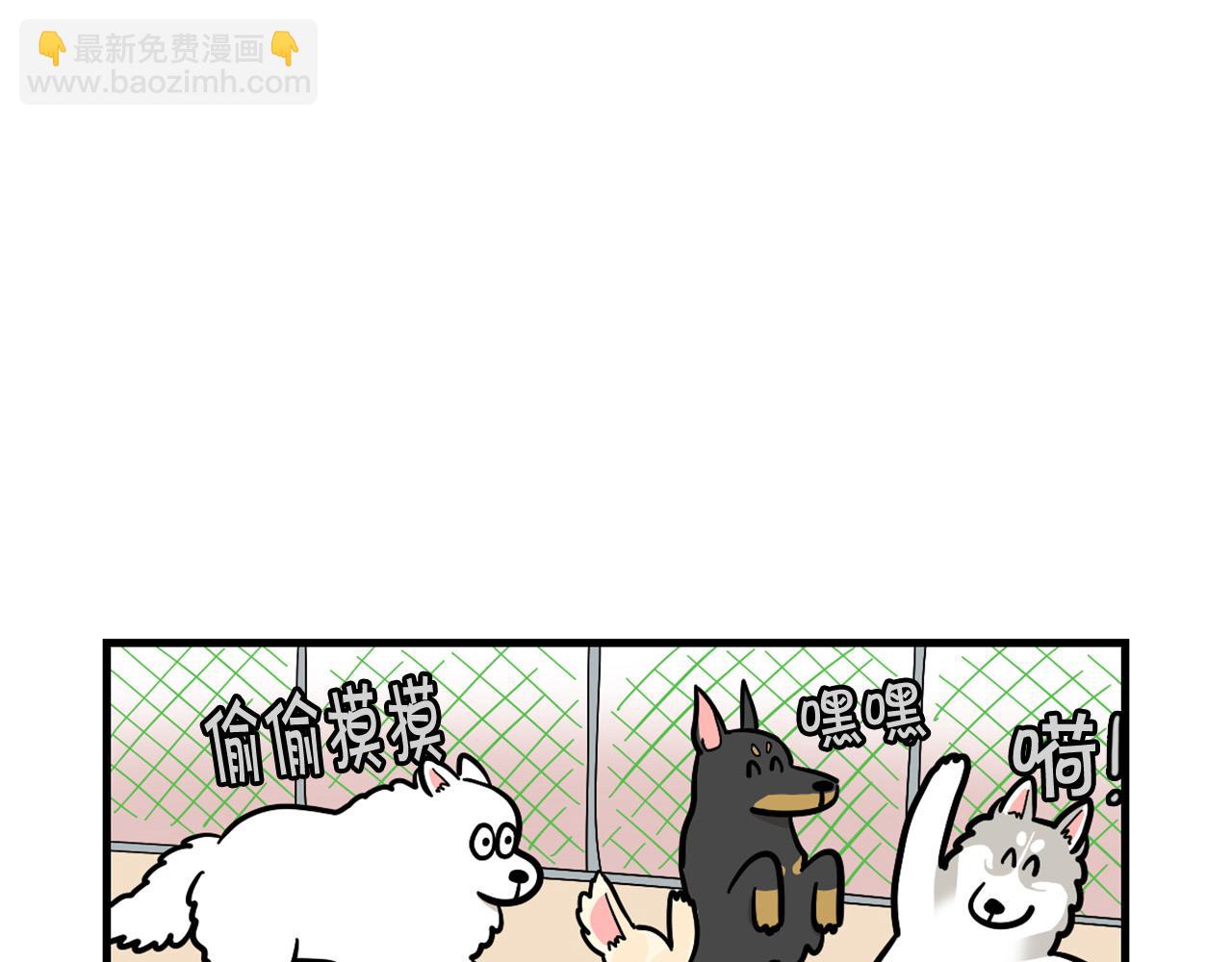 第55话 社恐狗狗(1/2)-第56话