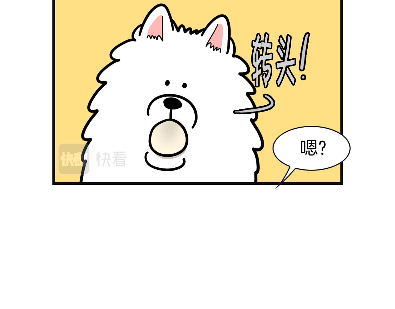 第57话 金丝熊(1/2)-第58话