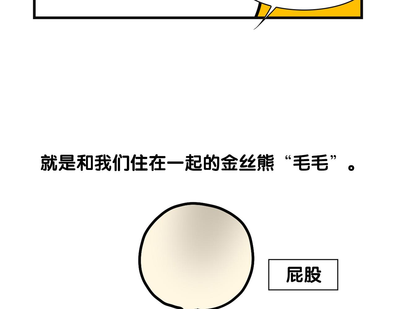 第57话 金丝熊(1/2)-第58话