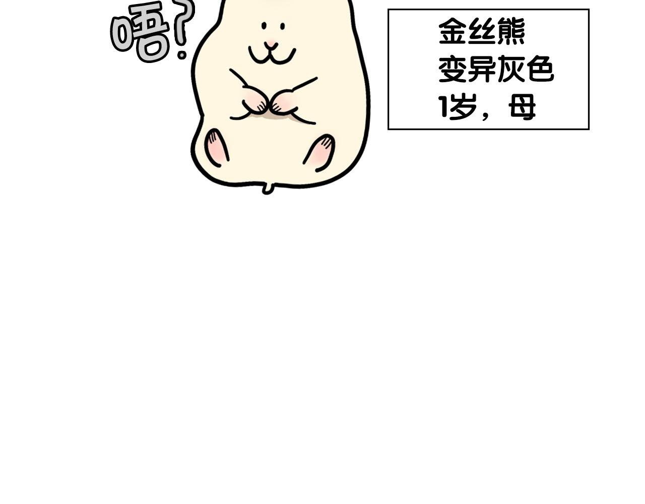 第57话 金丝熊(1/2)-第58话
