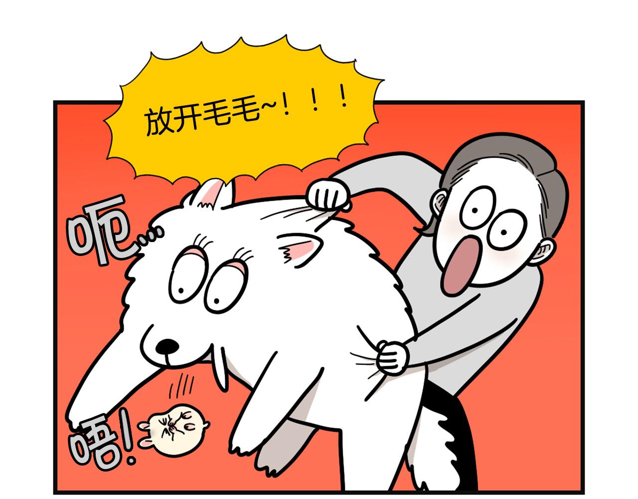 第57话 金丝熊(1/2)-第58话