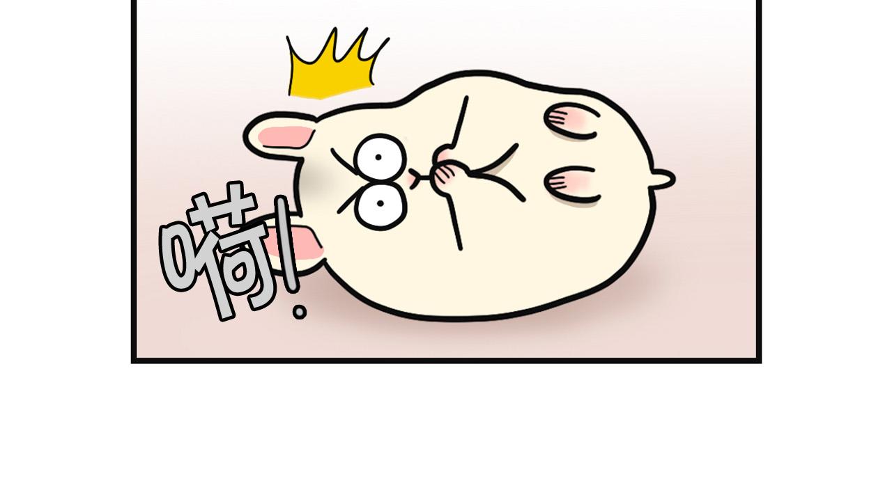 第57话 金丝熊(1/2)-第58话