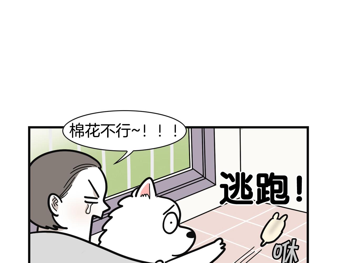 第57话 金丝熊(1/2)-第58话