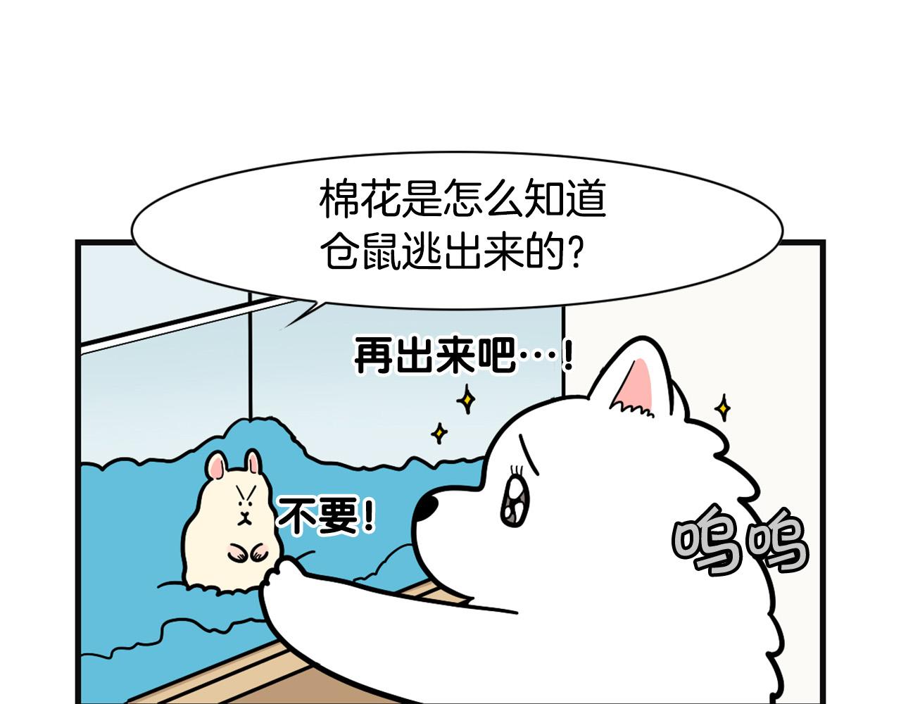第57话 金丝熊(1/2)-第58话