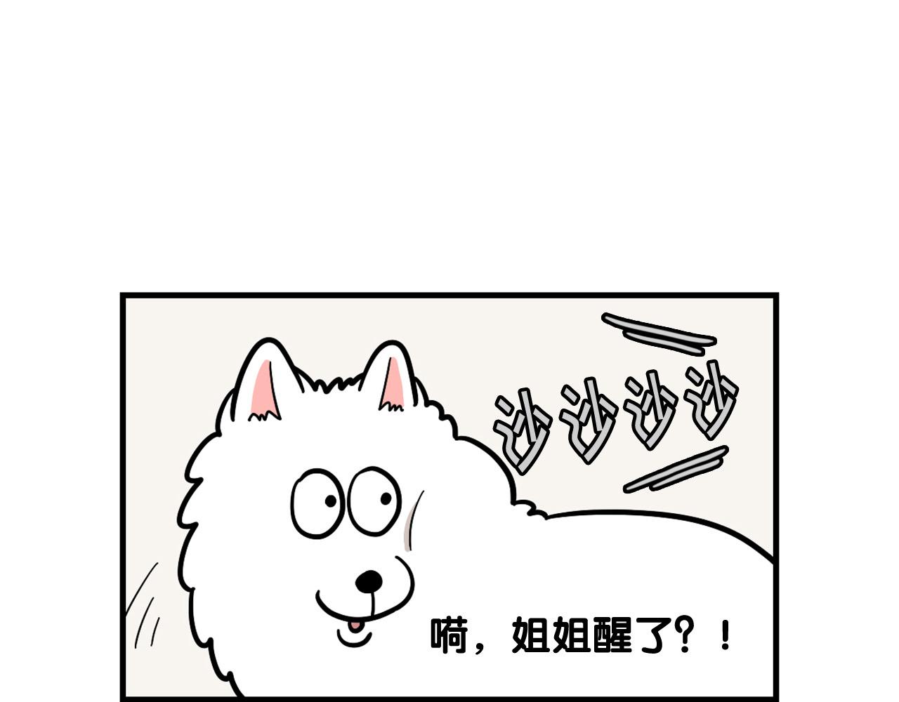 第59话 棉花的一天(1/2)-第60话