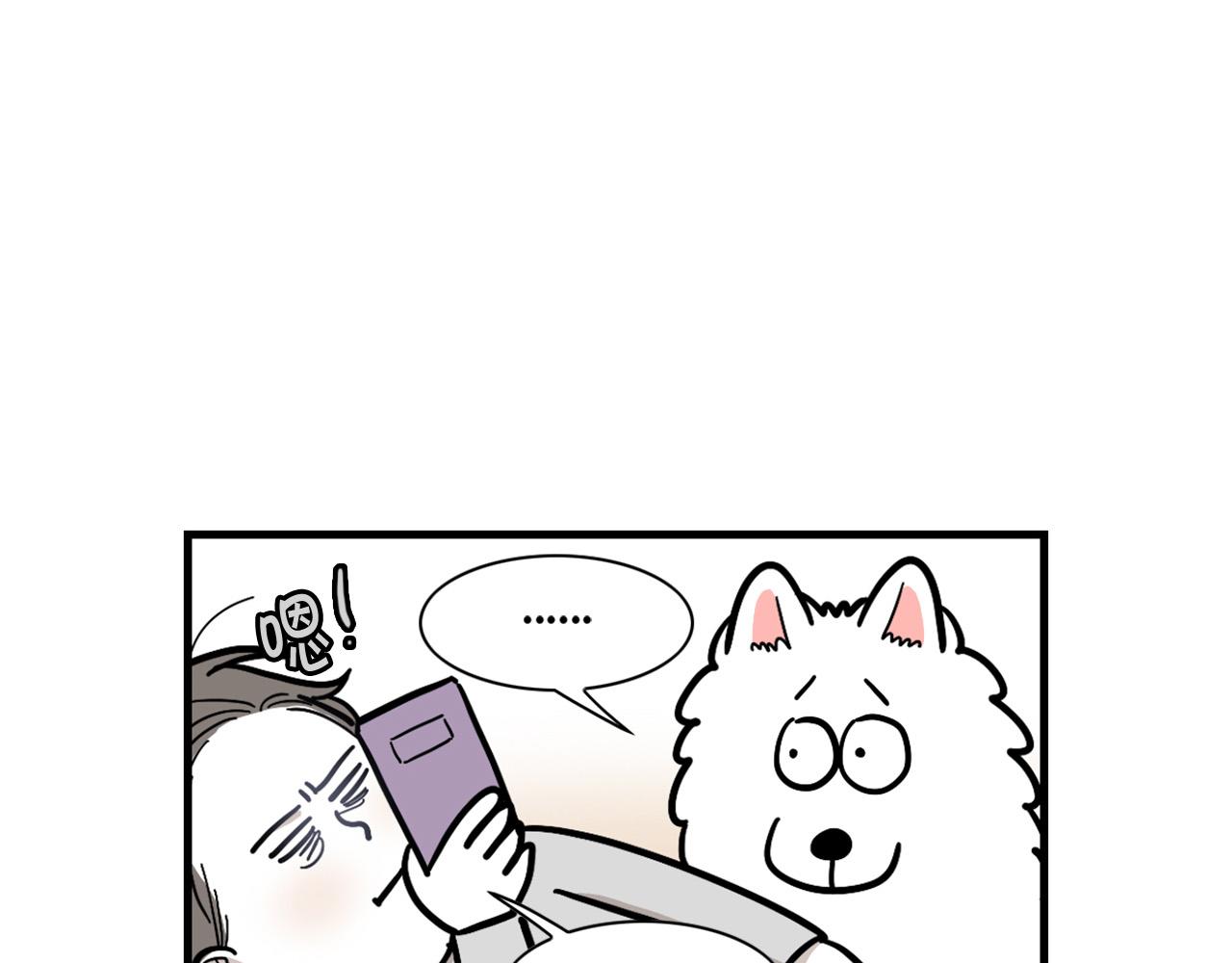 第59话 棉花的一天(1/2)-第60话