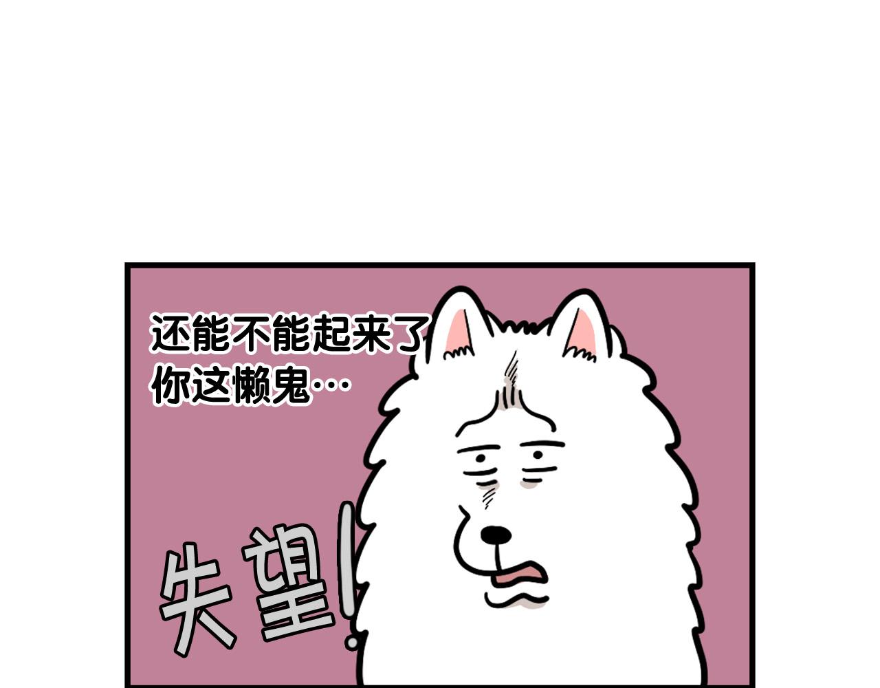 第59话 棉花的一天(1/2)-第60话