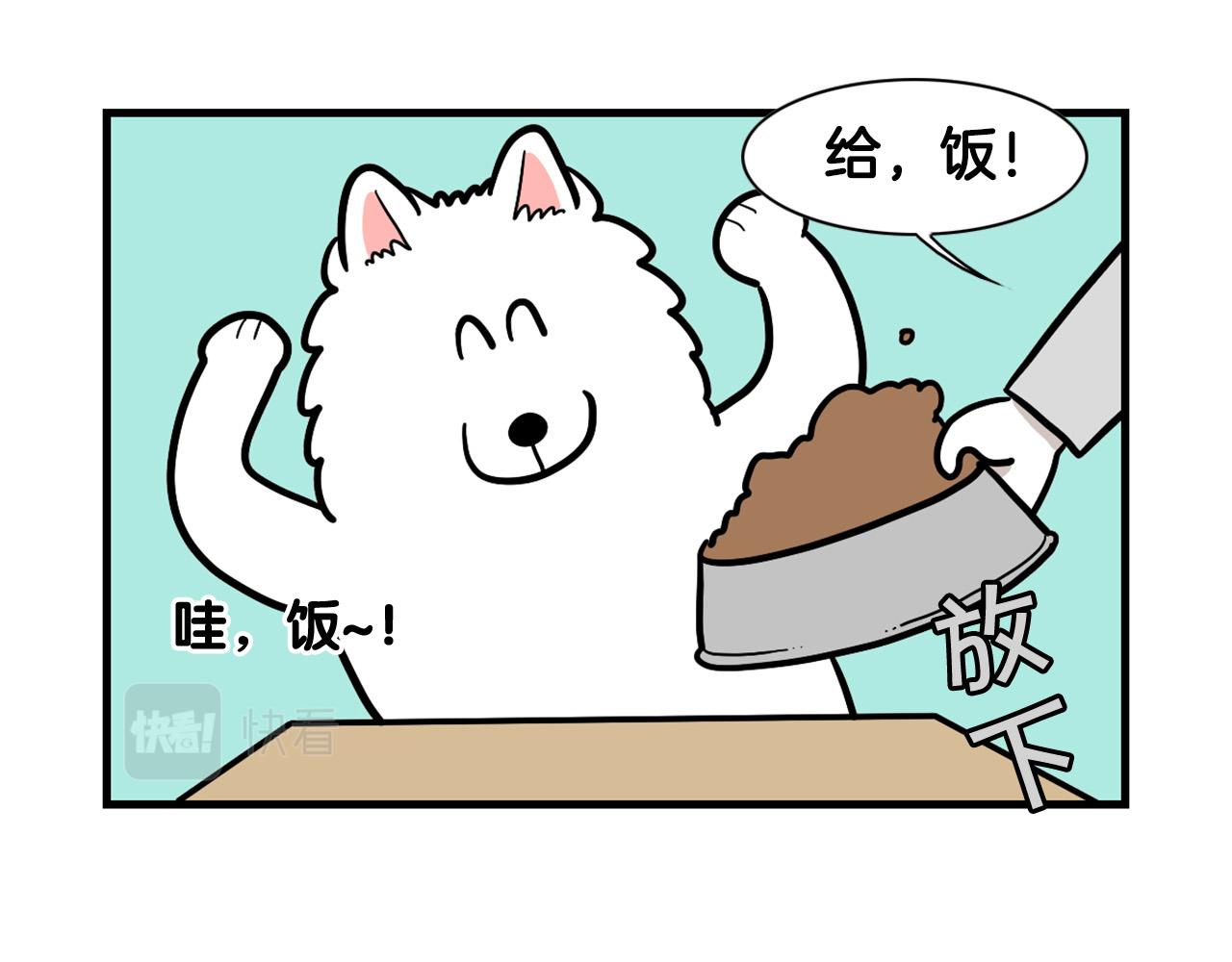 第59话 棉花的一天(1/2)-第60话