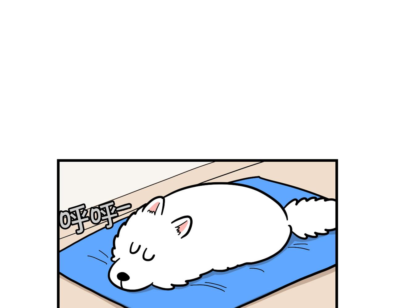 第59话 棉花的一天(1/2)-第60话
