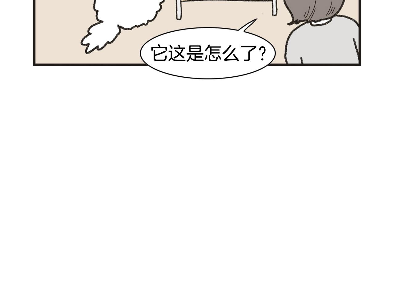 番外1 毛毛登场！(1/2)-第62话
