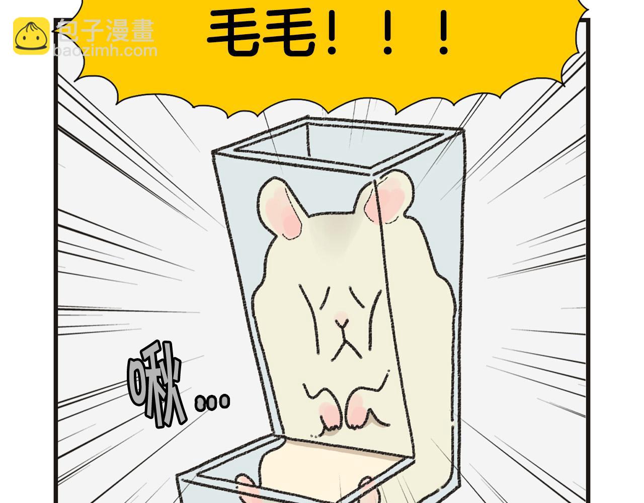番外1 毛毛登场！(1/2)-第62话