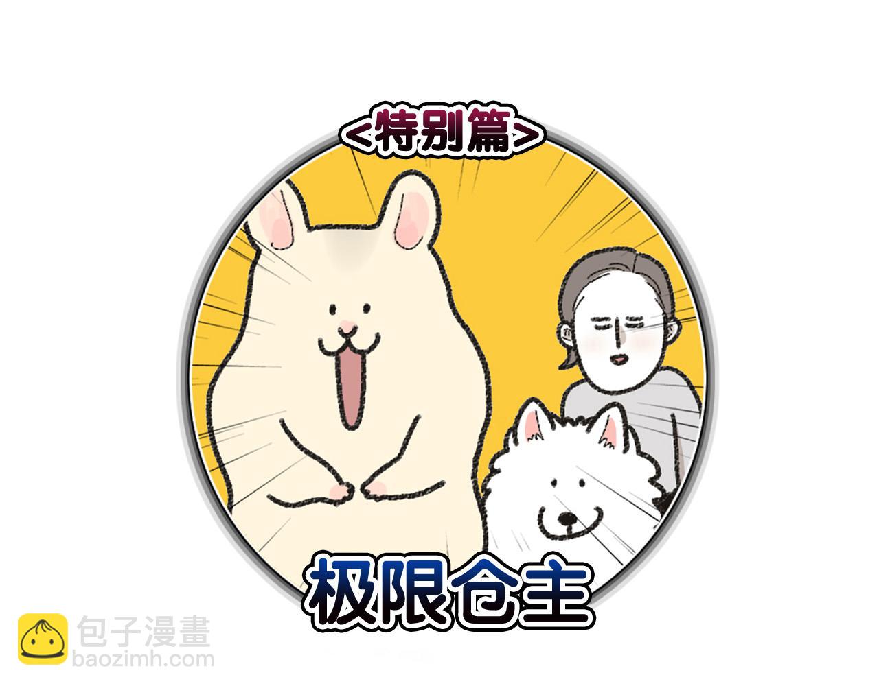 番外1 毛毛登场！(1/2)-第62话