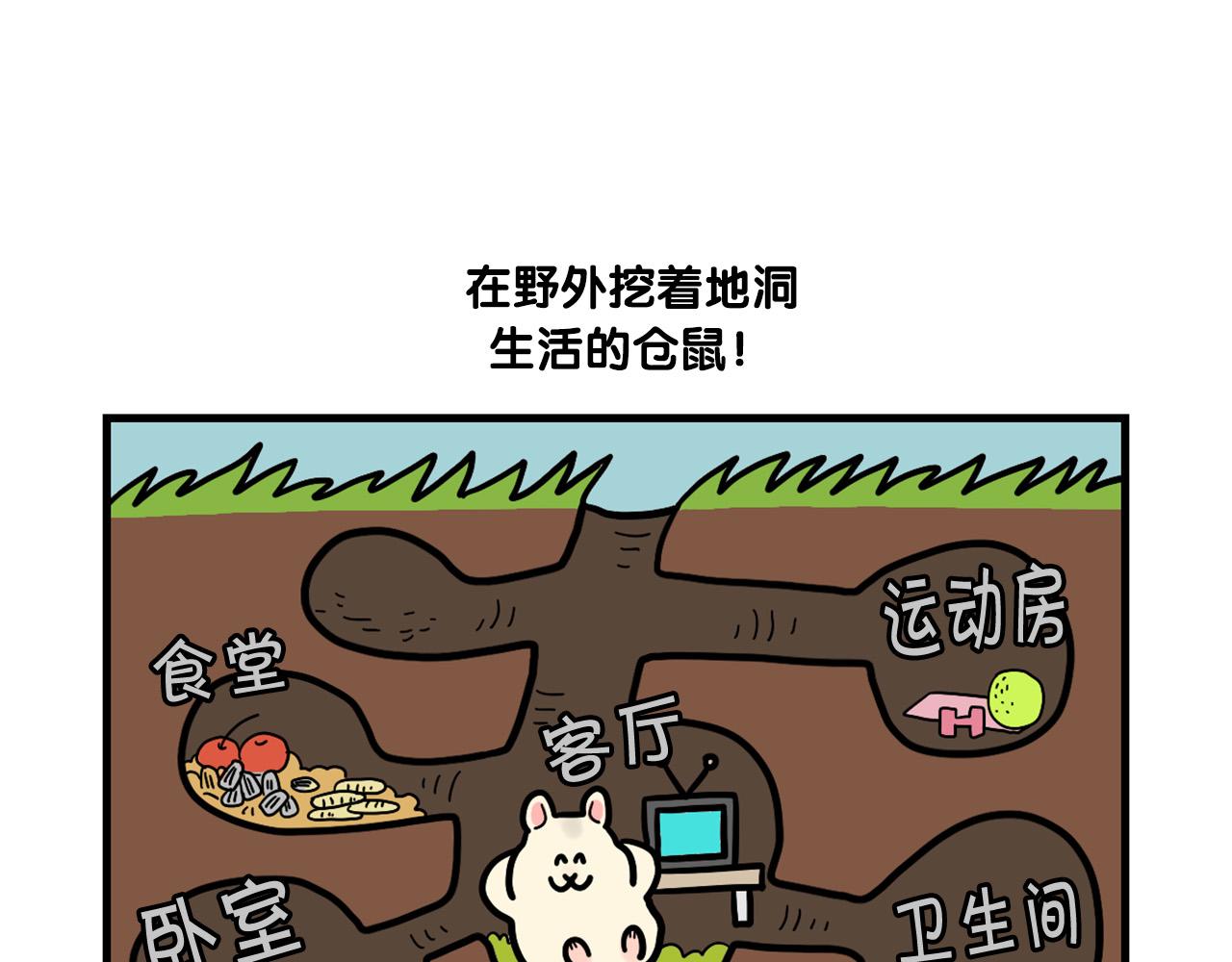 番外3 好奇心(1/2)-第64话