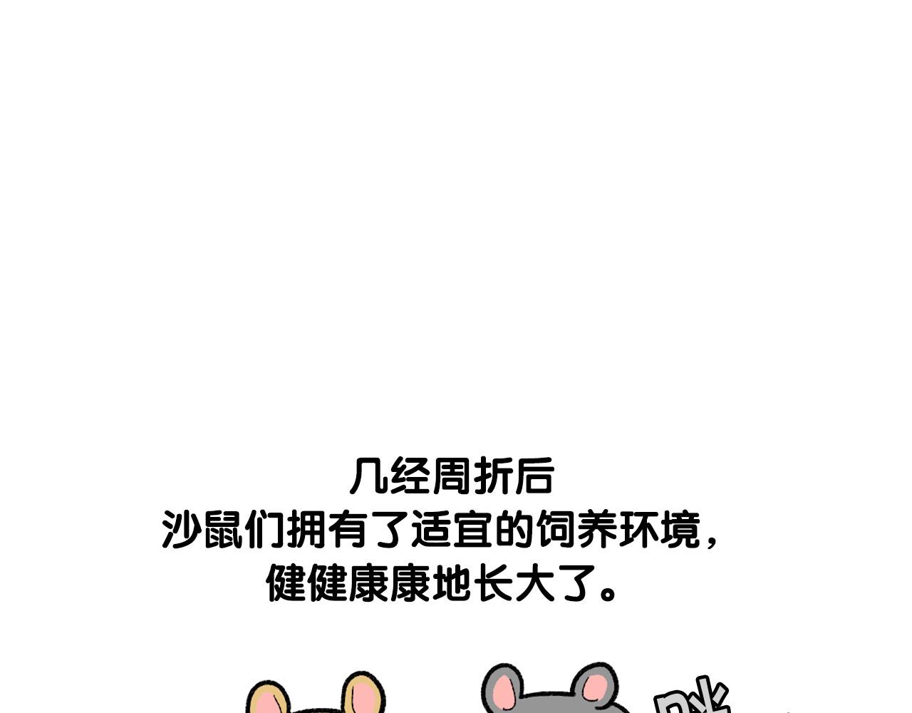 完结篇番外5 请勿随意弃养(1/2)-第66话
