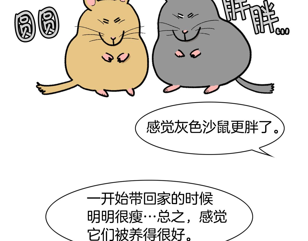 完结篇番外5 请勿随意弃养(1/2)-第66话