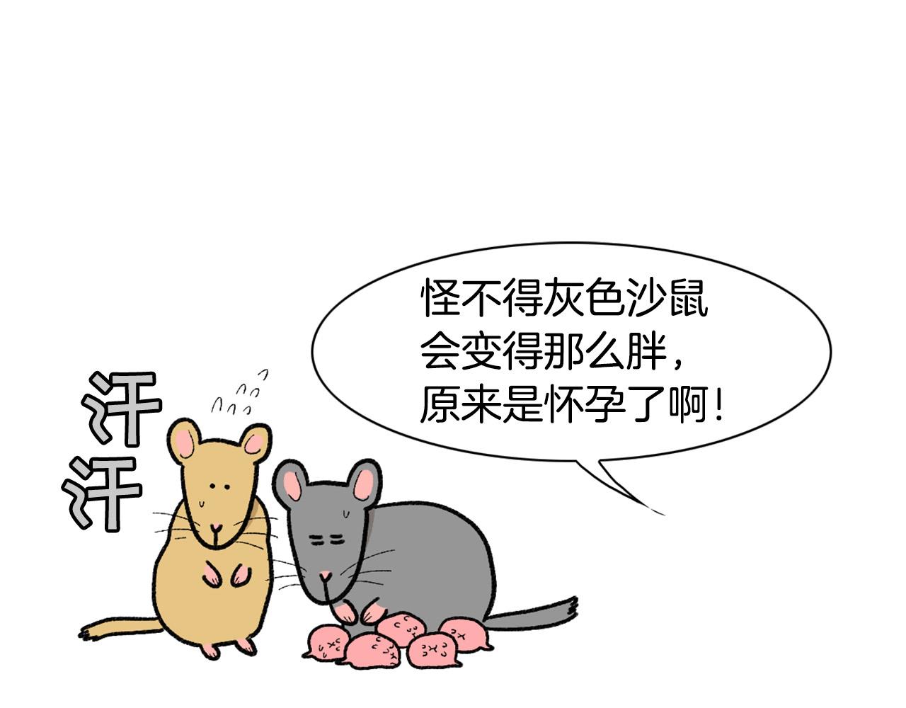 完结篇番外5 请勿随意弃养(1/2)-第66话